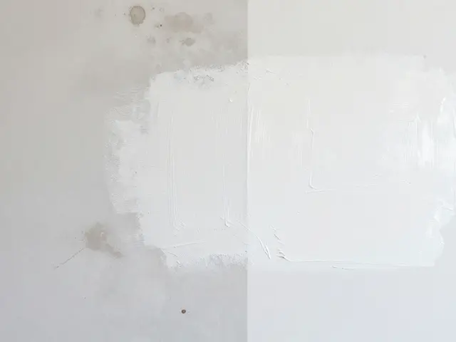 Zubní plak a bělení zubů: Proč čištění znamená bělejší úsměv