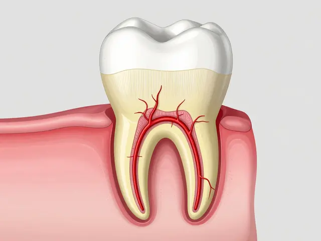 Jak vypadají kořeny zubu? Anatomie, typy a důvody bolesti